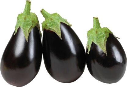Aubergine, per 500 gram. Nederland
