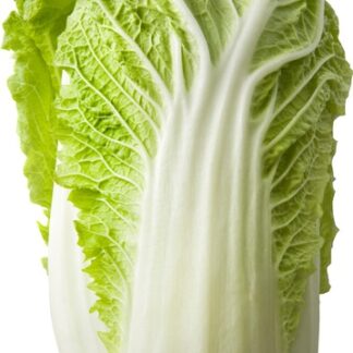 Chinese kool, per stuk.  Nederland