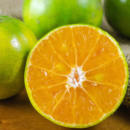Mandarijn satsuma, 500 gram. Spanje
