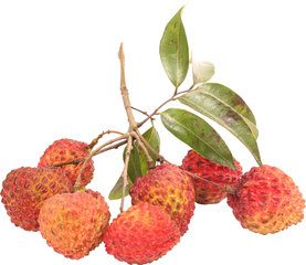 Lychee, 100 gram. Spanje
