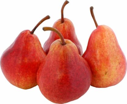 Peer Red Bartlett, per kilo. Argentinië