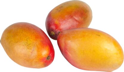 Mango, per stuk. Ivoorkust