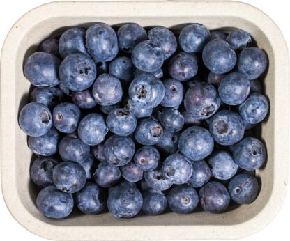 Blauwe bessen 250 gram. Spanje