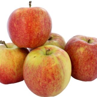 Appel Jonagold Red, per kilo. Duitsland