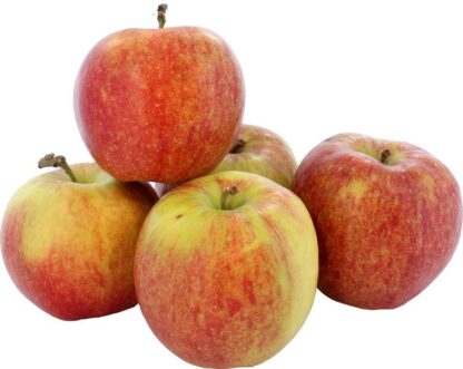 Appel Jonagold Red, per kilo. Duitsland