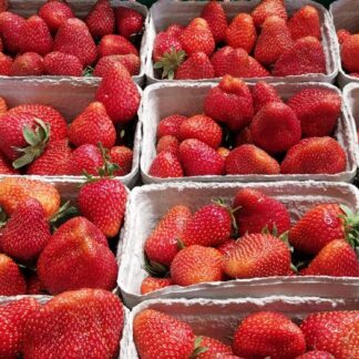 Aardbei 500 gram. Eigen tuin