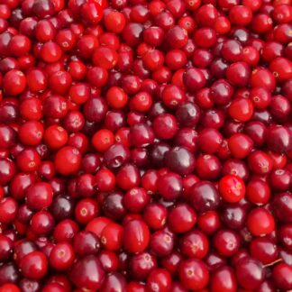 Cranberries, 100 gram. Terschelling