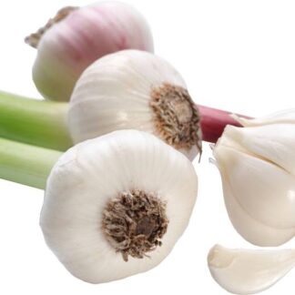 Knoflook vers, 100 gram. De Stek