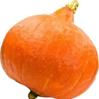Pompoen oranje, per kilo. Argentinië