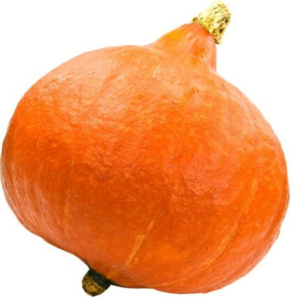 Pompoen oranje, per kilo. Argentinië