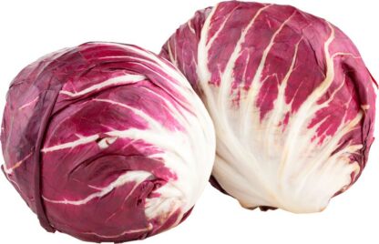 Radicchio, 500 gram. Nederland