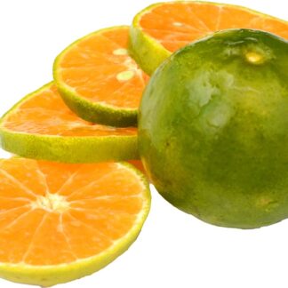 Mandarijn satsuma, 500 gram. Spanje