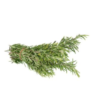 Rozemarijn, vers per bos. Frankrijk