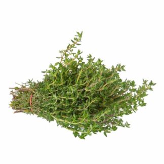 Tijm vers, per bos. Italië