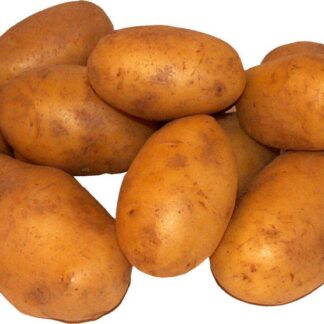 Nieuwe aardappel El Mundo, per kilo. Spanje