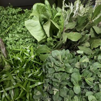 Marokkaanse munt, per bos. BelleMarie