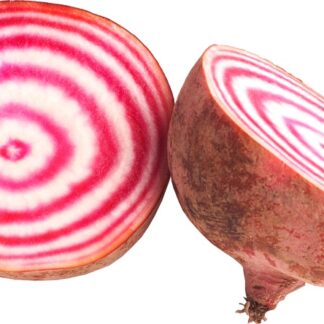 Biet chioggia, 500 gram. Lepelaar