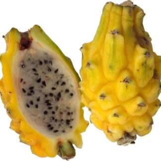 Pitahaya, per stuk.