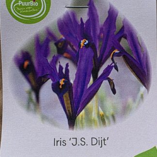 Iris J.S. Dijt, 10 stuks. Puur Bio