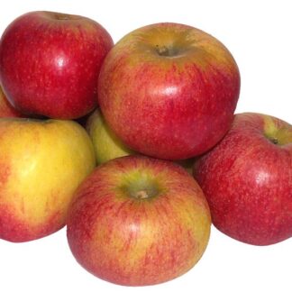 Appel Elstar, per kilo. Merkens