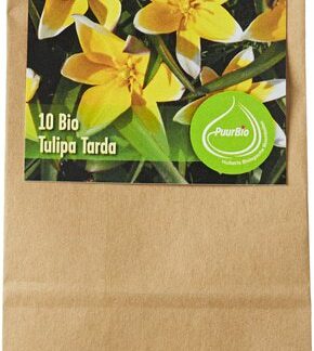 Tarda tulpen, 10 stuks. Puur bio